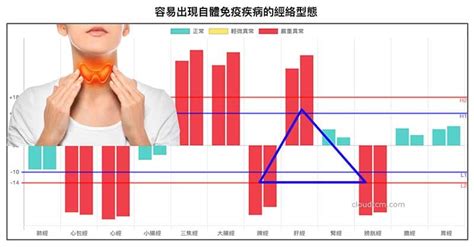 脾臟功能不好|從脾經組成的經絡型態，理解中醫的「脾臟」究竟是什。